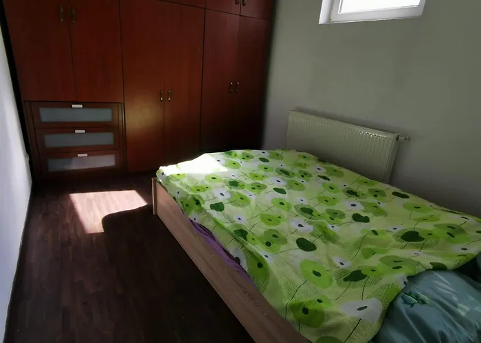 Coliving Wediscover * 부쿠레슈티